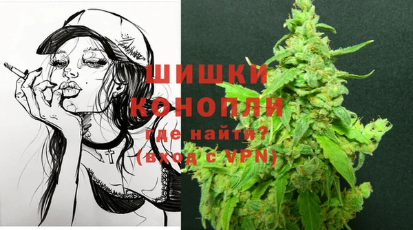 apvp Горняк