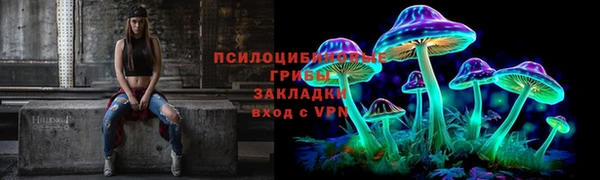 apvp Горняк
