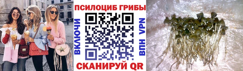 Купить где  Мариинск  Псилоцибиновые грибы ЛСД 